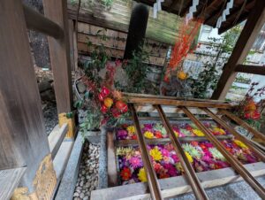 重陽の節句