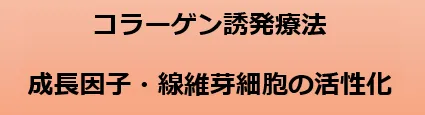 コラーゲン誘発療法